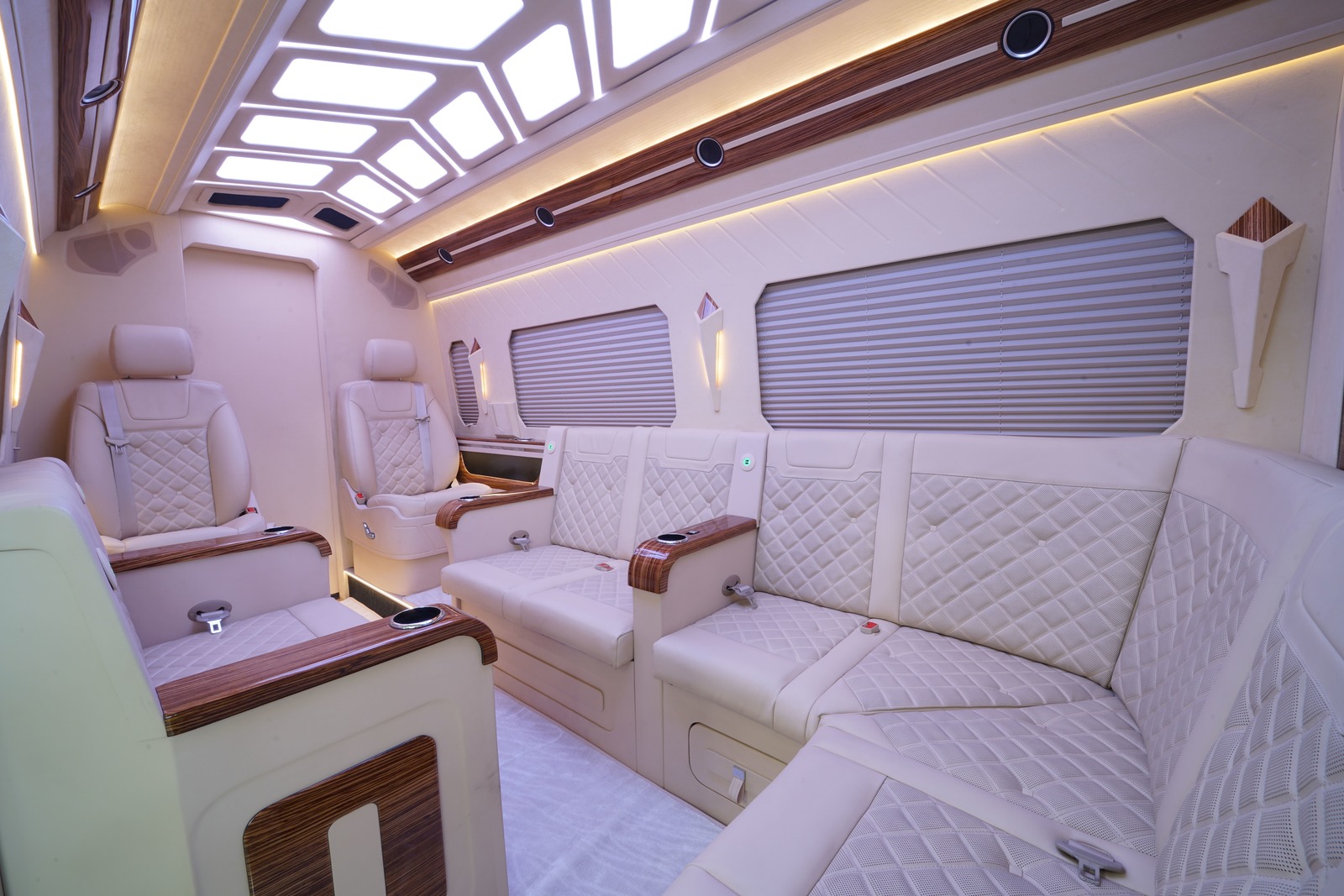 luxury business van