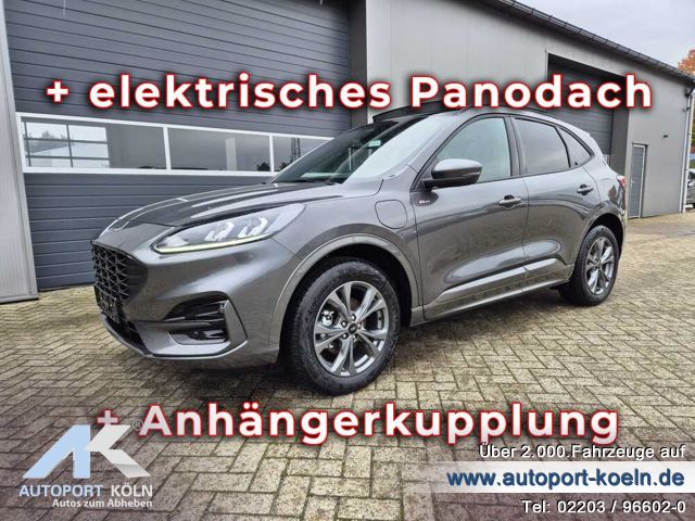 Ford Kuga (Bild 7)