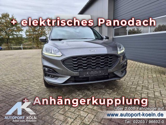 Ford Kuga (Bild 8)