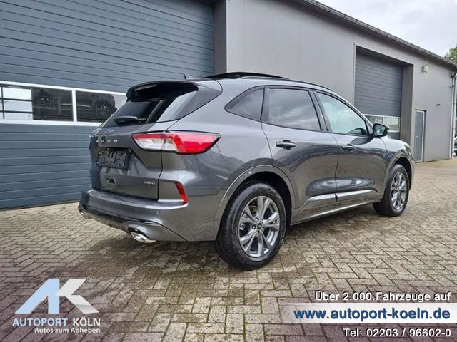 Ford Kuga (Bild 7)