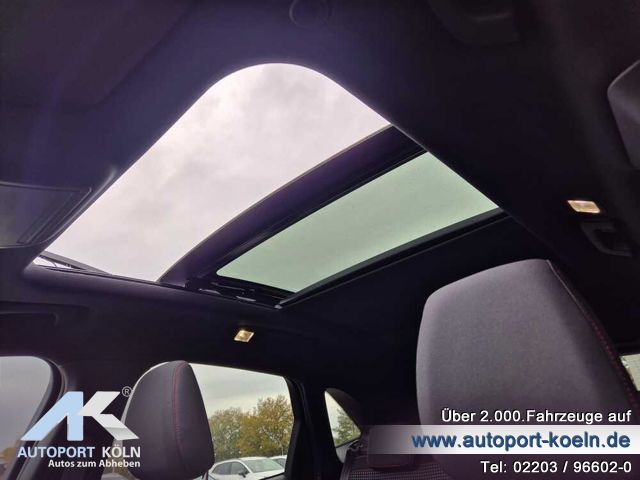 Ford Kuga (Bild 14)