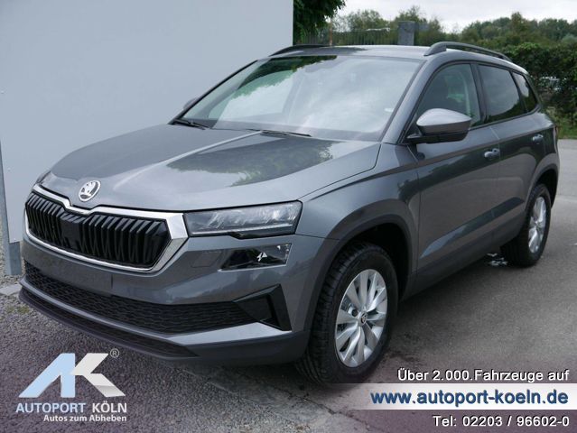 Skoda Karoq (Bild 1)