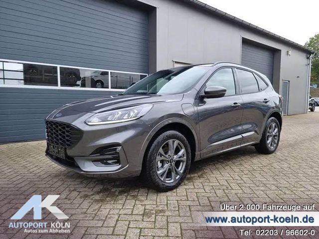 Ford Kuga (Bild 1)