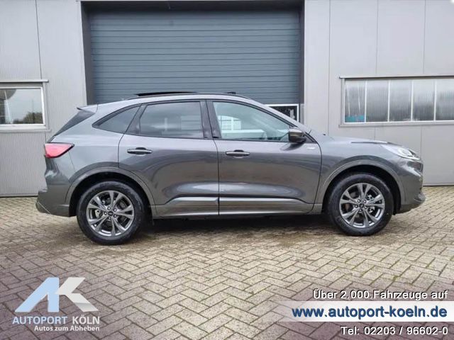 Ford Kuga (Bild 8)