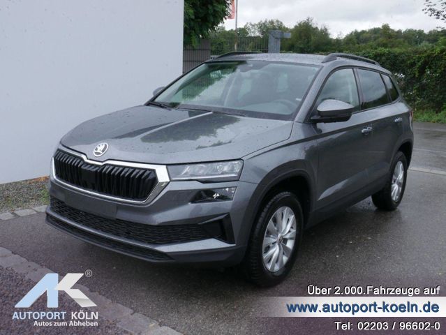 Skoda Karoq (Bild 1)