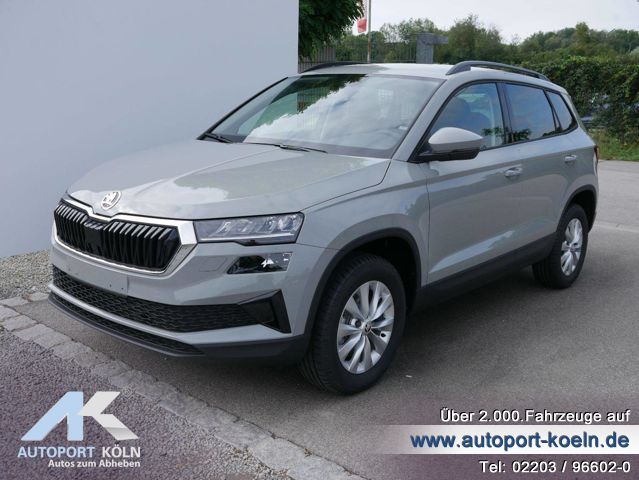 Skoda Karoq (Bild 1)