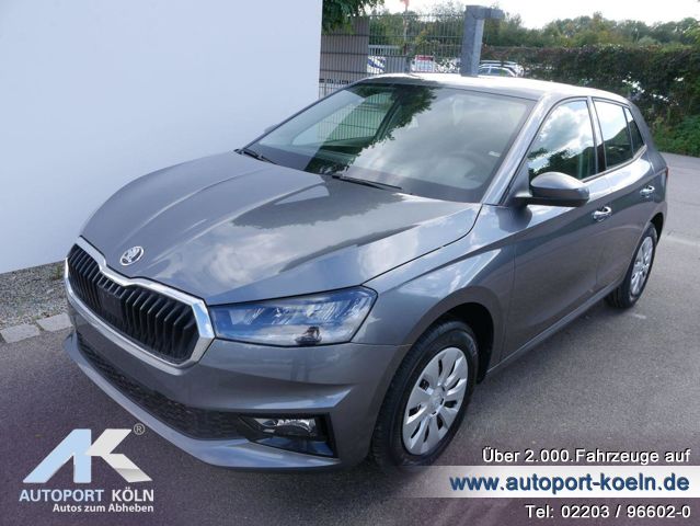 Skoda Fabia (Bild 1)