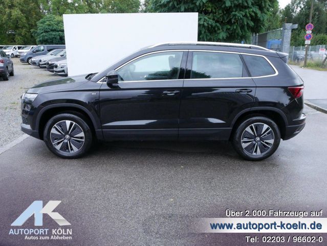 Skoda Karoq (Bild 6)