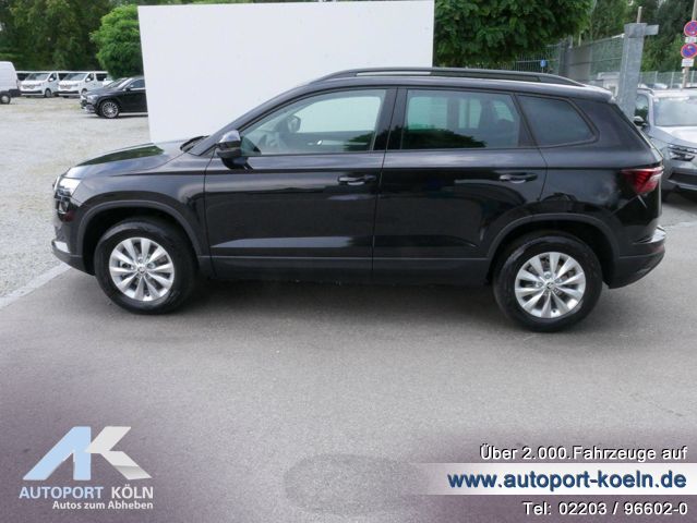 Skoda Karoq (Bild 6)