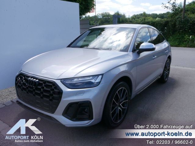 Audi SQ5 (Bild 1)