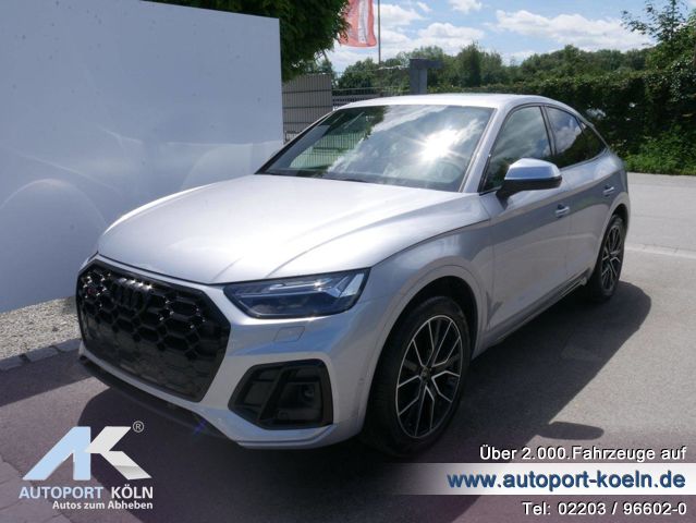 Audi SQ5 (Bild 1)