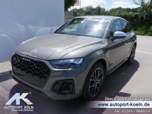 Audi SQ5 (Bild 1)