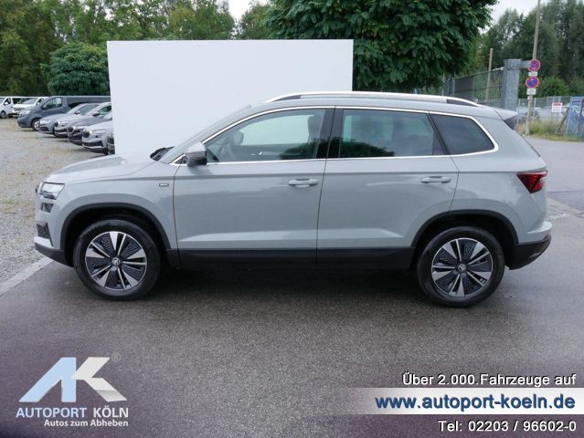 Skoda Karoq (Bild 6)