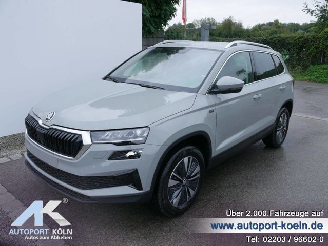 Skoda Karoq (Bild 1)