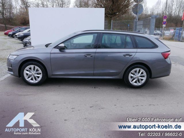 Skoda Octavia (Bild 6)