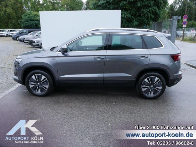 Skoda Karoq (Bild 6)