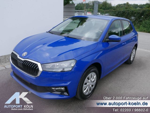 Skoda Fabia (Bild 1)